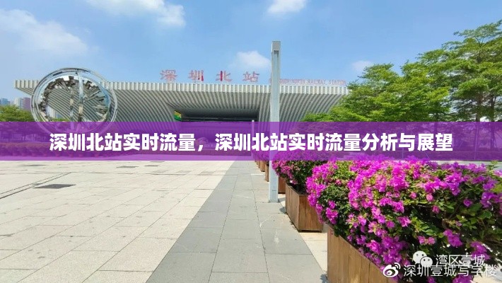 熊经鸟申 第3页