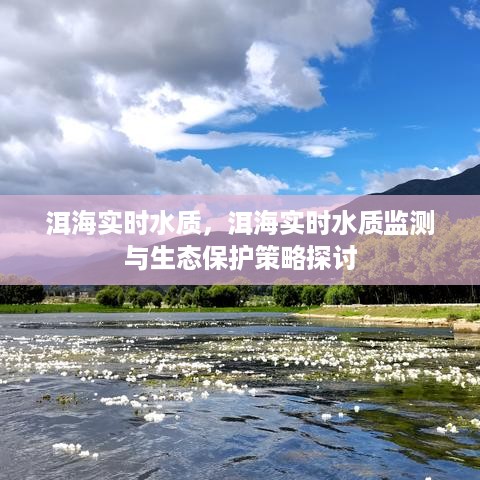 洱海实时水质监测，生态保护策略探讨与监测进展