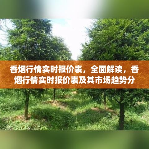 香烟行情实时报价表深度解读，市场趋势分析与全面解读