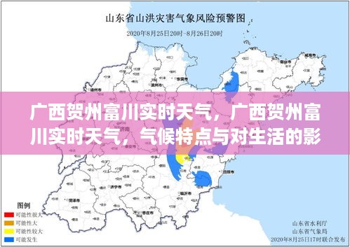 成功案例 第310页