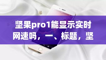 坚果Pro 1手机实时网速监测功能详解
