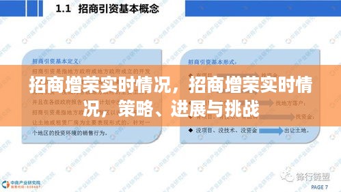招商增荣实时动态，策略进展、挑战与实时更新情况