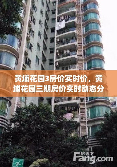 慌慌张张 第3页