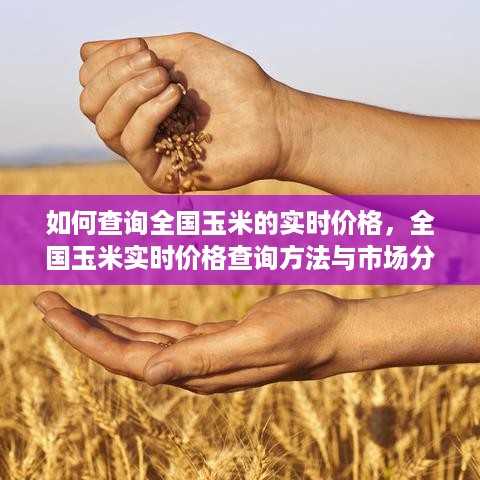 飞潜动植 第3页