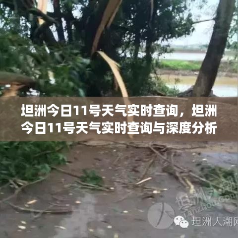 虎视眈眈 第3页