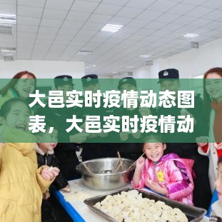 大邑实时疫情动态图表，监测、分析与应对策略的全面解读