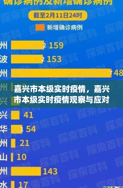 嘉兴市本级实时疫情观察与应对策略