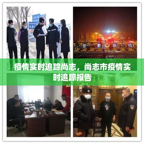 尚志市疫情实时追踪报告，最新动态与数据分析