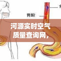 甄繁就简 第3页