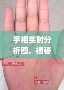 手相实时分析图揭秘，解读命运密码的奥秘之旅