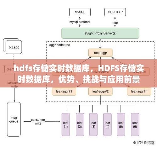 应用前景探讨