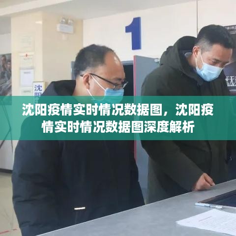 沈阳疫情实时数据图解析，深度了解疫情动态