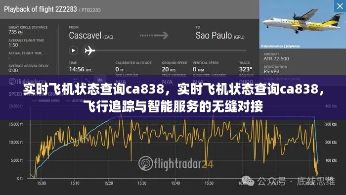 实时飞机状态查询ca838，飞行追踪与智能服务的无缝对接体验