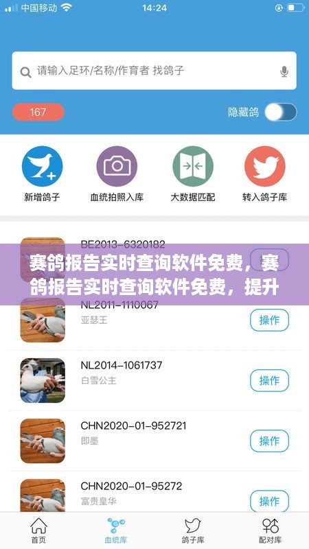 赛鸽报告实时查询软件，免费提升竞技赛场效率与透明度的新星工具