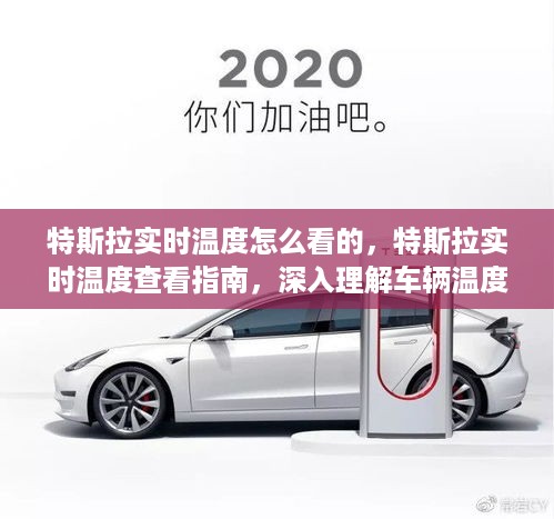 特斯拉车辆温度管理系统详解，实时温度查看指南