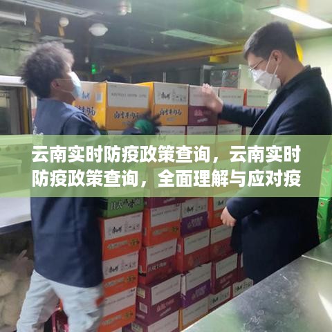 云南实时防疫政策全面解读与应对疫情新常态的策略