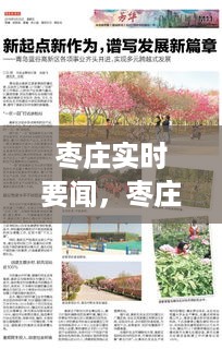 枣庄市最新实时要闻，城市发展与民生改善同步推进