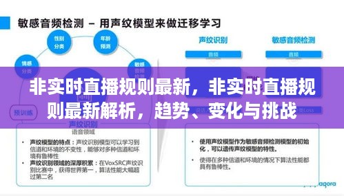 最新解析