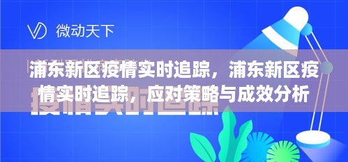 应对策略 第4页