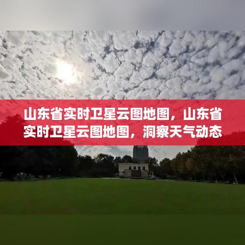 日就月将 第2页