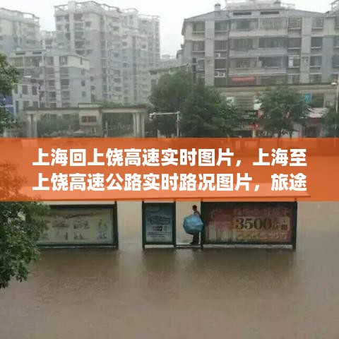 纲举目张 第2页