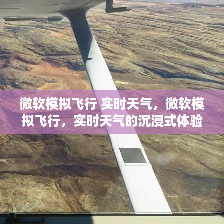 风流儒雅 第3页