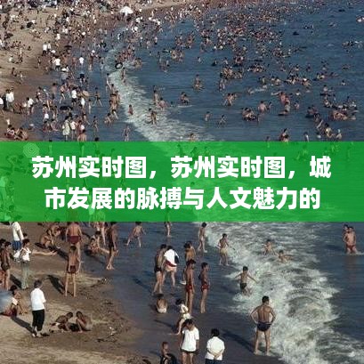 苏州实时图，多维展示城市发展与人文魅力