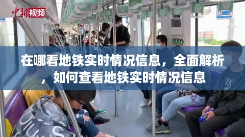 如何查看地铁实时情况信息，全面解析与实时查询指南