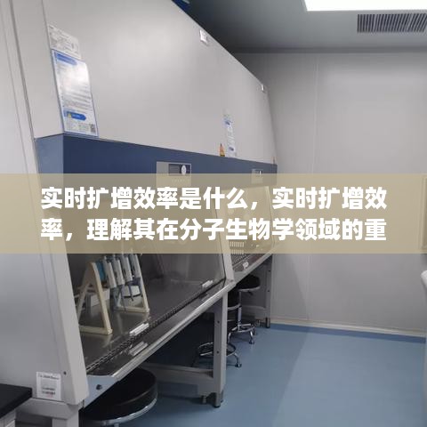 实时扩增效率及其在分子生物学领域的重要性与应用解析