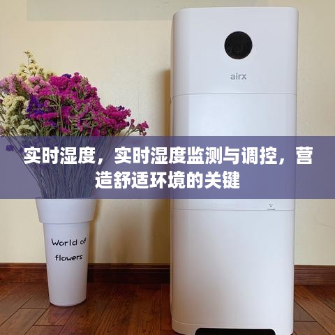 实时湿度监测与调控，营造舒适环境的核心之道
