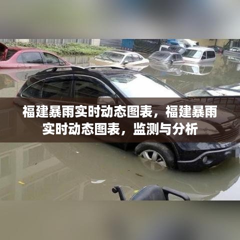 福建暴雨实时动态图表监测与分析报告