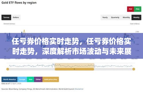 任亏券价格实时走势深度解析及市场波动未来展望