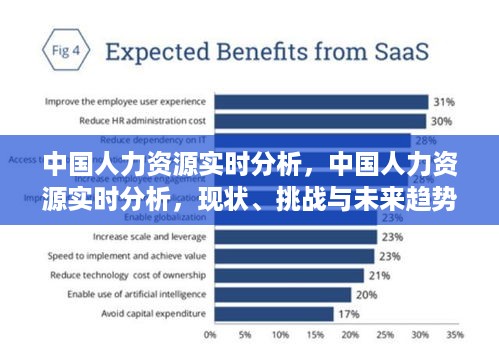 中国人力资源实时分析，现状挑战与未来趋势展望