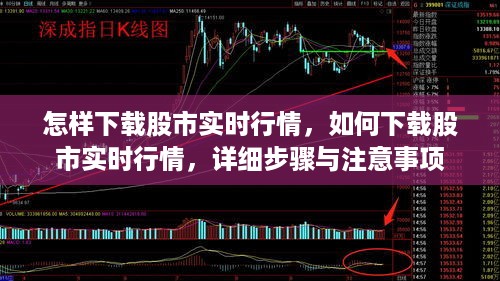 股市实时行情下载指南，详细步骤与注意事项