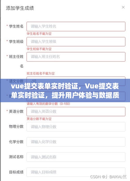 Vue表单实时验证，提升用户体验与数据质量的关键步骤