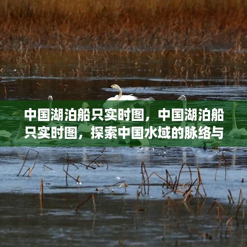 中国湖泊船只实时动态图，揭示水域脉络与活力探索