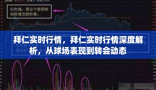 拜仁实时行情深度解析，球场表现与转会动态全关注