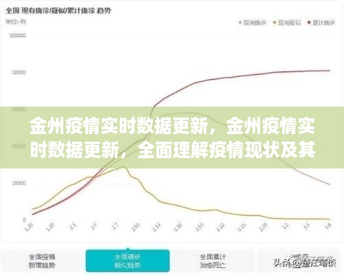 金州疫情实时数据更新，全面理解疫情现状及其影响
