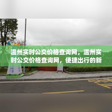 温州实时公交价格查询网，便捷出行的新时代选择