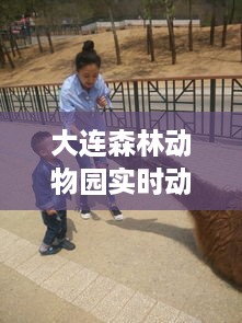实时探索