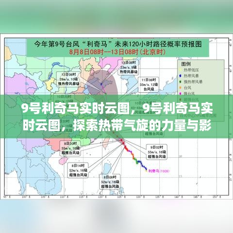 一石三鸟