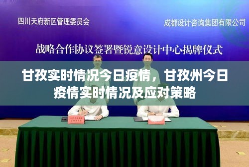 甘孜州今日疫情实时情况更新与应对策略报告