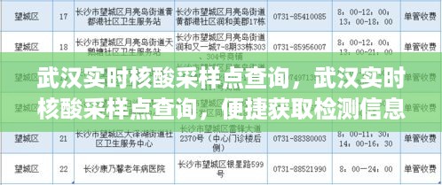 武汉实时核酸采样点查询，助力疫情防控，便捷获取检测信息