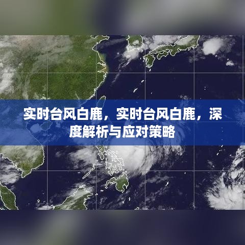 实时台风白鹿深度解析与应对攻略