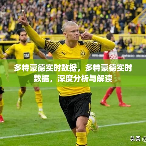 多特蒙德实时数据深度分析与解读报告