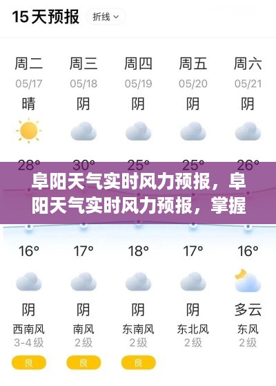 杳无音讯