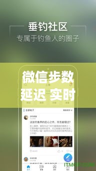 鸿飞雪爪 第3页