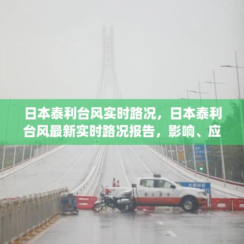 日本泰利台风最新实时路况报告，影响分析、应对措施与观察分析