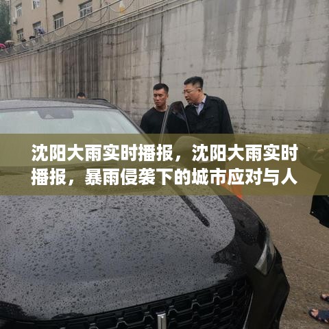 沈阳暴雨侵袭，城市应对与人文关怀的实时播报