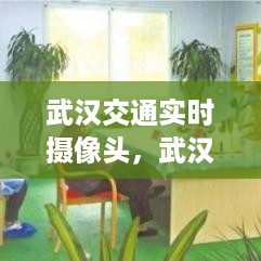 武汉交通智能监控，实时摄像头实现高效管理典范